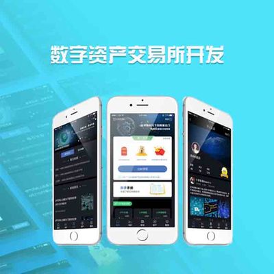 移動定制手機軟件與計算機軟硬件技術開發(fā) 新時代的數(shù)字化驅動力