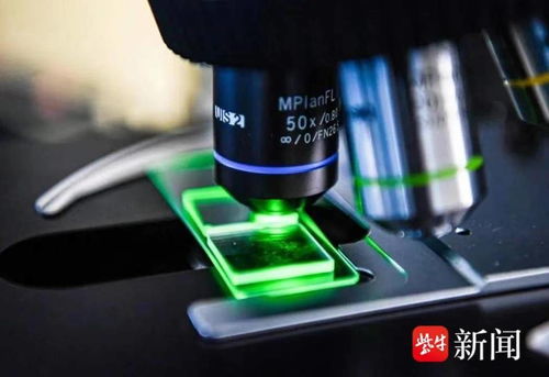 國(guó)內(nèi)首條光子芯片中試線無(wú)錫啟用，軟硬件協(xié)同引領(lǐng)計(jì)算技術(shù)新紀(jì)元